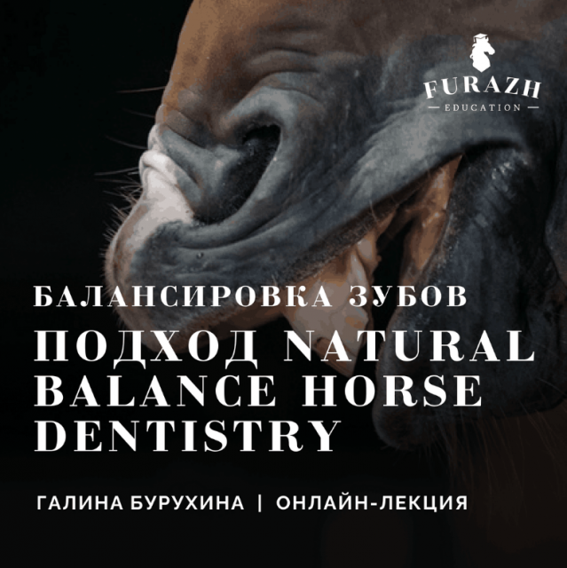 Лекция: Балансировка зубов лошади по методу Natural Balance Dentistry_Часть 3. Подход Natural Balance Horse Dentistry
